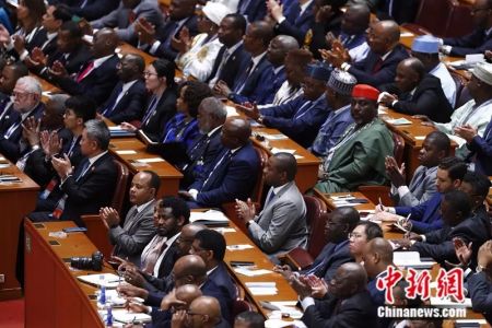 　　9月3日，中非合作论坛北京峰会在北京人民大会堂开幕。 富田 摄