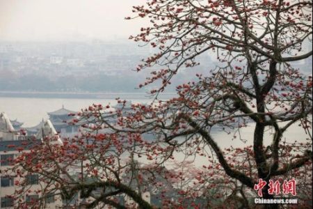 　　资料图：广东省潮州市韩愈纪念馆附近景观。刘莉生 摄