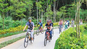 游客在兴隆绿道示范段骑行体验绿道之旅