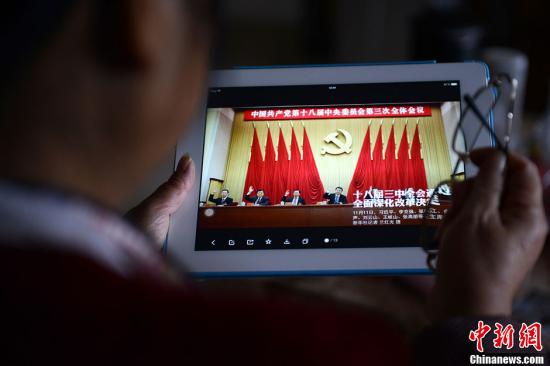 资料图：网友用平板电脑浏览有关中国共产党十八届三中全会的报道。中新社发